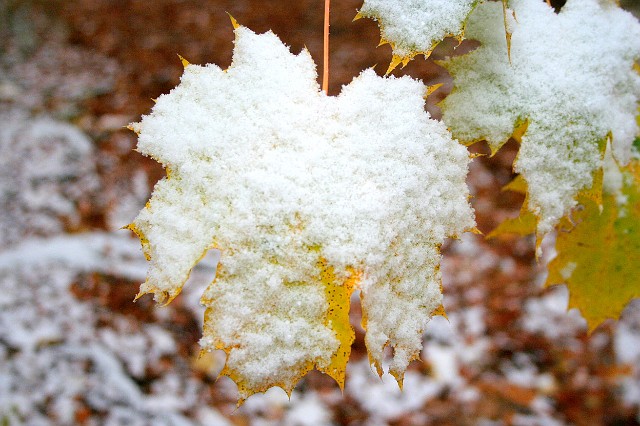 Raichberg 2007 Bild 06